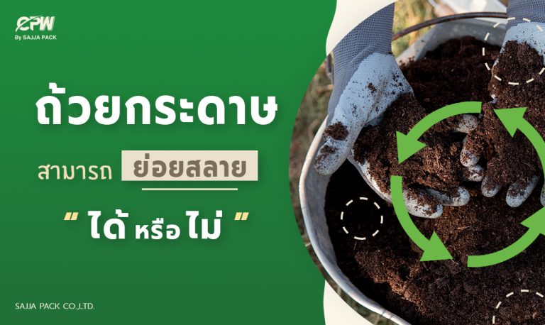 ถ้วยกระดาษสามารถย่อยสลายทางธรรมชาติได้จริงหรือไม่ ?